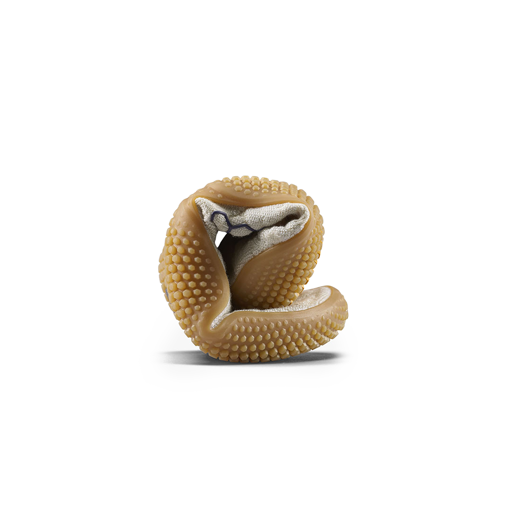 Motus Studio Sneaker Womens Arctic Wolf/Gum