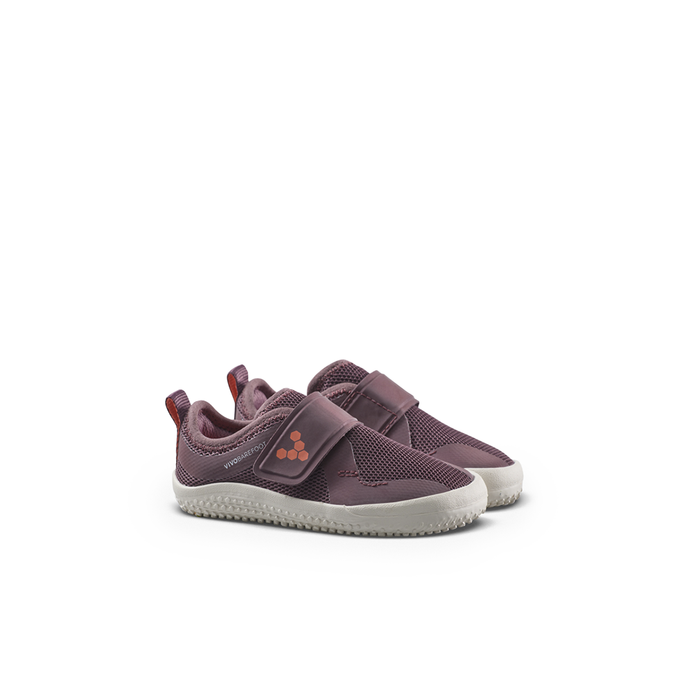Primus Sport IV Toddlers Huckleberry